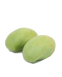xoài tứ quý miền tây chính gốc