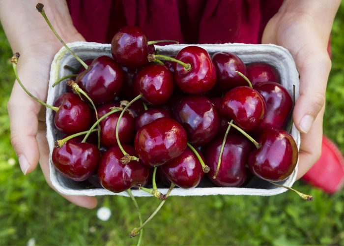 cherry nhập khẩu 1