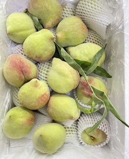 Đ&agrave;o Mỏ Quạ 