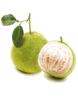 Bưởi T&acirc;n Triều