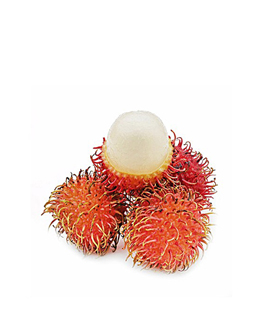 Ch&ocirc;m Ch&ocirc;m Nh&atilde;n