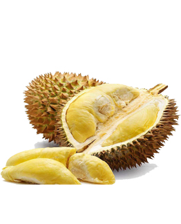 Sầu Ri&ecirc;ng