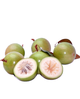 V&uacute; Sữa L&ograve; R&egrave;n
