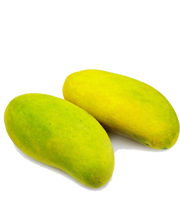 Xo&agrave;i Hạt L&eacute;p