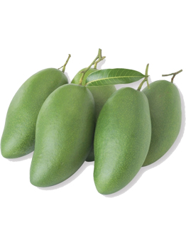 Xo&agrave;i Th&aacute;i