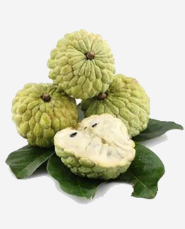 Na Đồng Mỏ