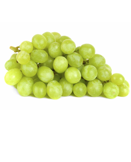 Nho xanh autumn crisp Mỹ